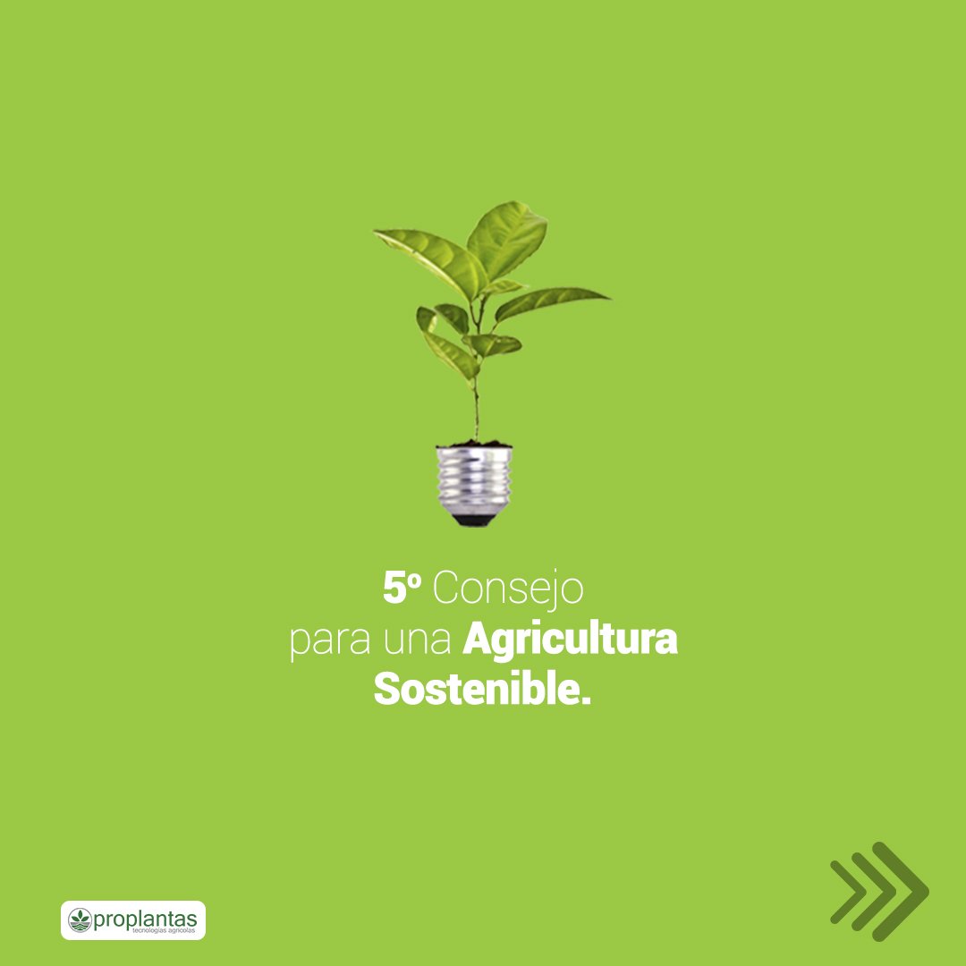 Proplantas tweet media