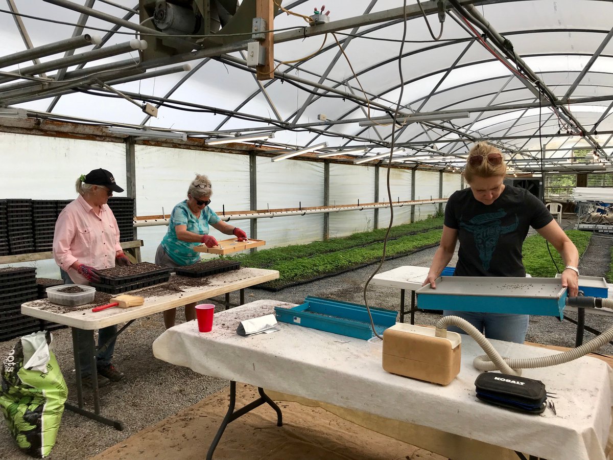 AppExtracts's tweet photo. Recently Nancy and Kathryn Tuckwiller helped plant over 90,000 plants that will grow on Greenbrier County farmland! This is the first step to creating the many CBD products we sell: tinctures, balms, pet products and more! #CBD #CBDOil #AppExtracts #WestVirginia https://t.co/RARbvumrDK