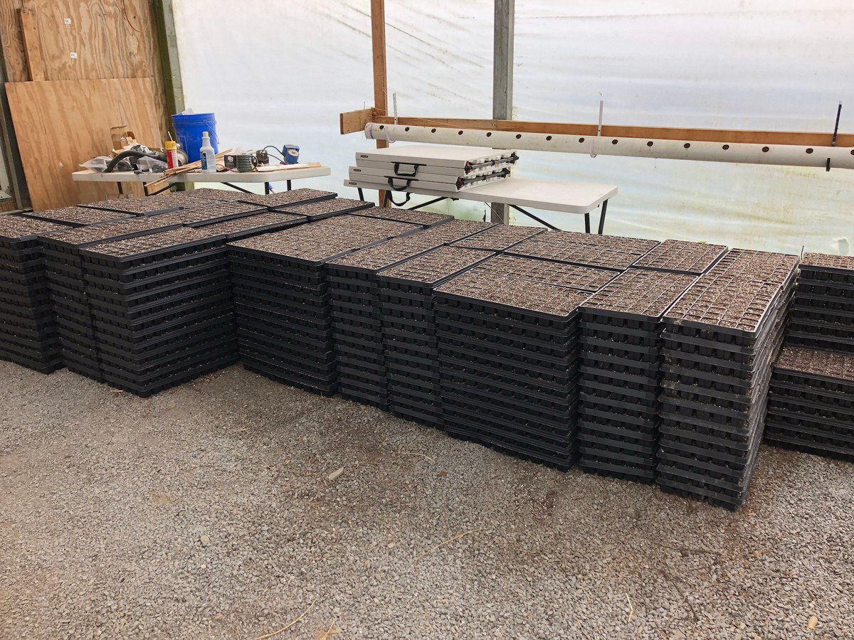 AppExtracts's tweet photo. Recently Nancy and Kathryn Tuckwiller helped plant over 90,000 plants that will grow on Greenbrier County farmland! This is the first step to creating the many CBD products we sell: tinctures, balms, pet products and more! #CBD #CBDOil #AppExtracts #WestVirginia https://t.co/RARbvumrDK