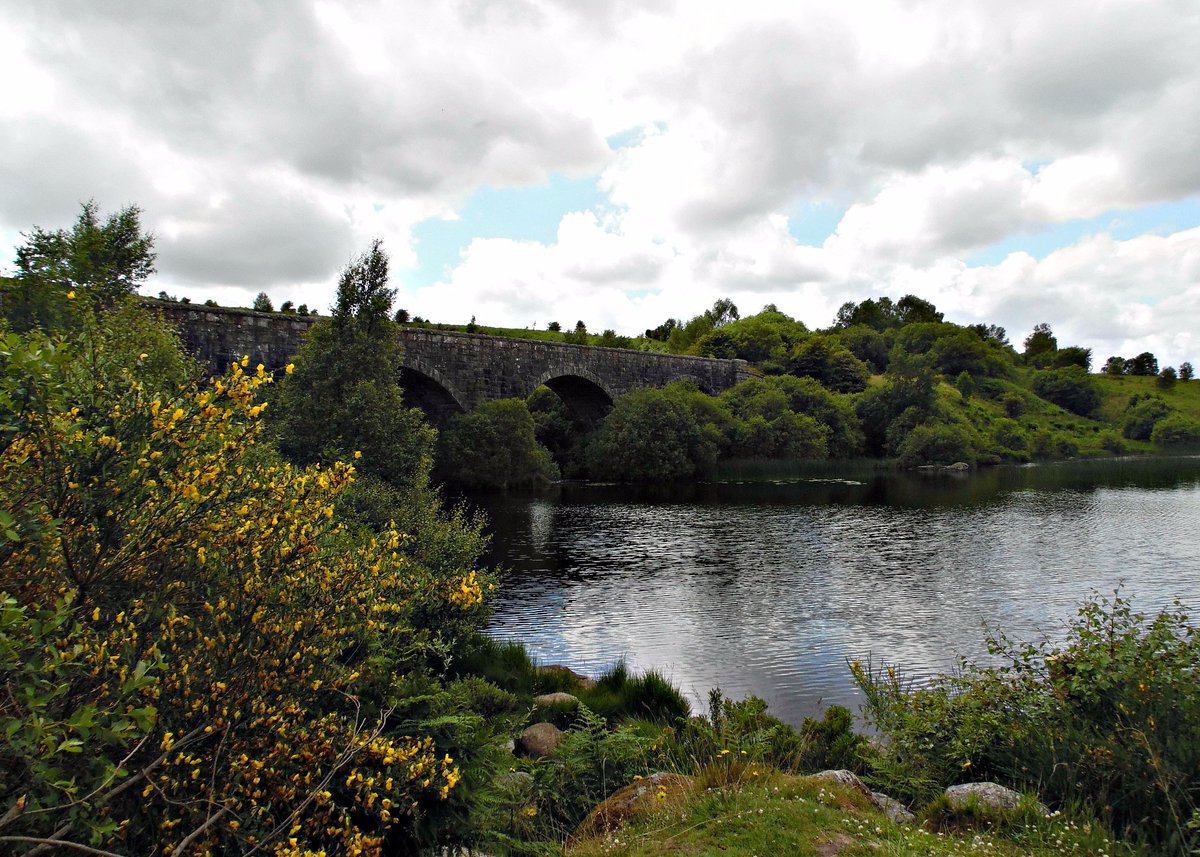 emmamereta's tweet photo. Loch Stroan, Galloway Forest Park. #LoveDandG #VisitSWScotland #YCW2020 https://t.co/wox1vWzxg5