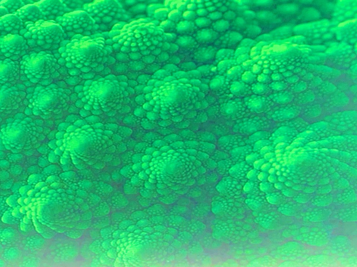 vdcjoe's tweet photo. .@LanceHosey bravely asks does ”designs” require “designers” in a future dominated by #AI. After all, nature, the universe’s oldest designer operates more like AI, iterating over time to find the most balanced solution to a problem #accelerate19 https://t.co/9Xou9GDg0U