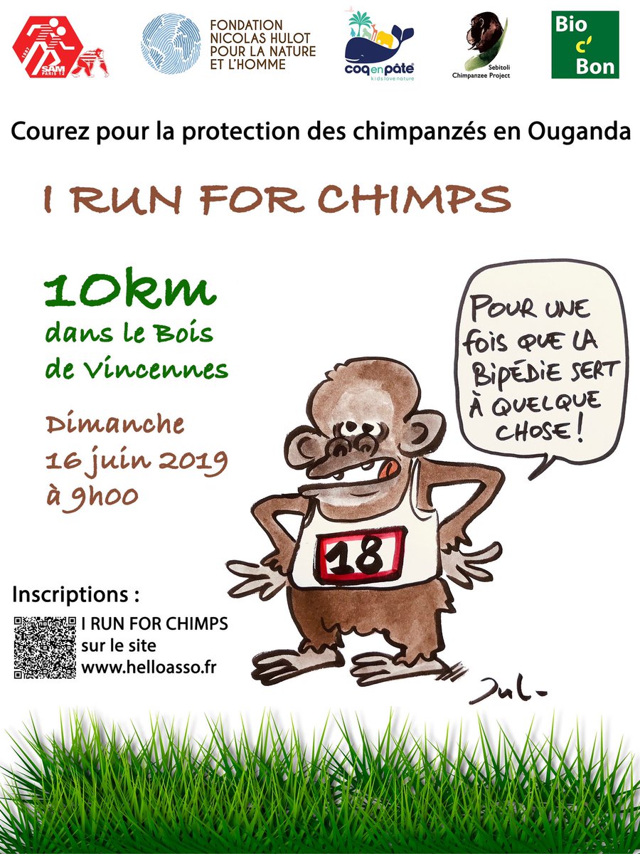 KriefSabrina's tweet photo. Inscrivez-vous pour #Irunforchimps, la course pour protéger les chimpanzés et recevez un t-shirt avec Werther, le Primate de Silex and the City, dessiné par @jul_auteur ! #10km, le 16 juin à Vincennes! Inscrivez-vous sur https://t.co/fNGydkzn7o https://t.co/MrALZ0GYaz