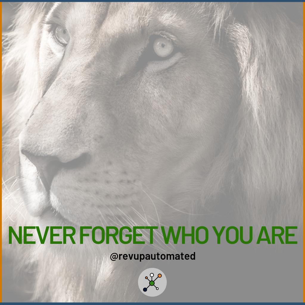 juan_dman's tweet photo. Never forget your value, always keep your eyes on the target!
.
#highachivers never stop until they get their way. Don't let fear stop you!
.
What are the biggest obstacles in your business? Follow @revupautomated https://t.co/OJoWCw5grX