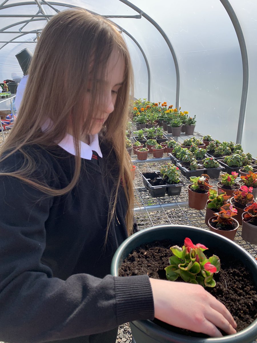 MissMcKaySC's tweet photo. Today our Junior Gardening group @IWS_Secondary achieved their Steps to Work Level 4 and finished by planting some pots to donate to others in the local community   😊💐 @deanschs @Linlithgow_Acad @StMargaretsAcad #betterfutures #achievement #gardening #skillsforlife https://t.co/fK4C0WhdWe