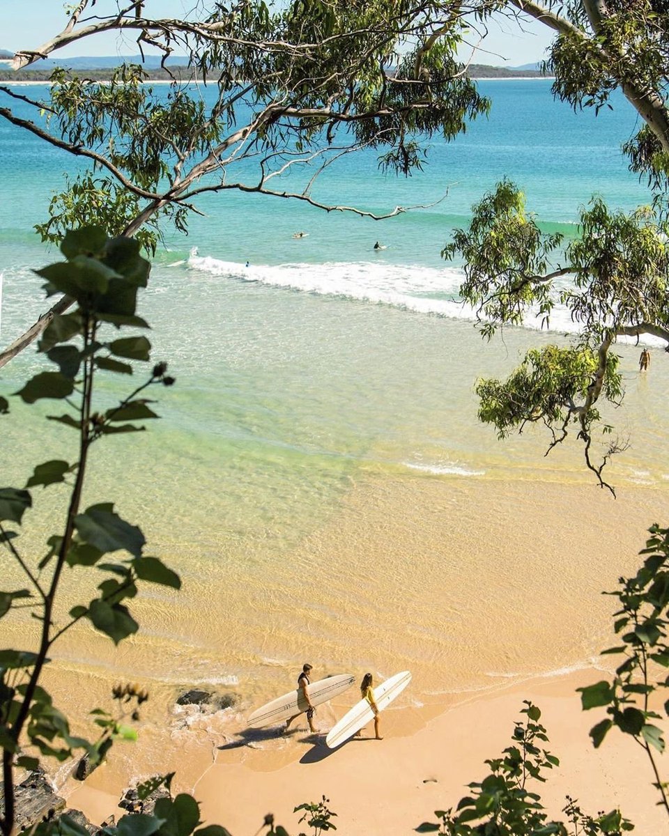 noosa's tweet photo. How mornings in #Noosa should be spent! ✨💞👏🏄♀️
(#LittleCove via IG/jbath7 #LakeCootharaba with IG/manuelo.pro, IG/sophiethomson11 & Ig/phoebethomas_)
#Noosa #RelaxationCapital https://t.co/KD3l1SZoK7
