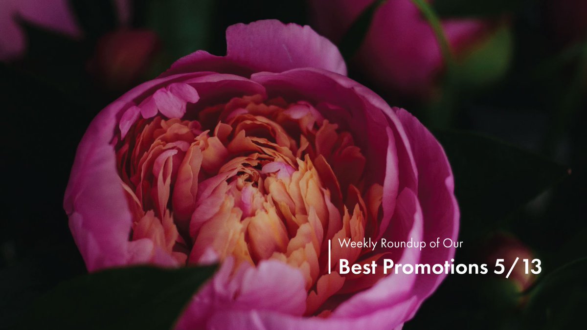 It's Monday, which means it is time for our new promotions and commission rate increases! Check it out on the blog! viglink.com/blog/2019/05/1…