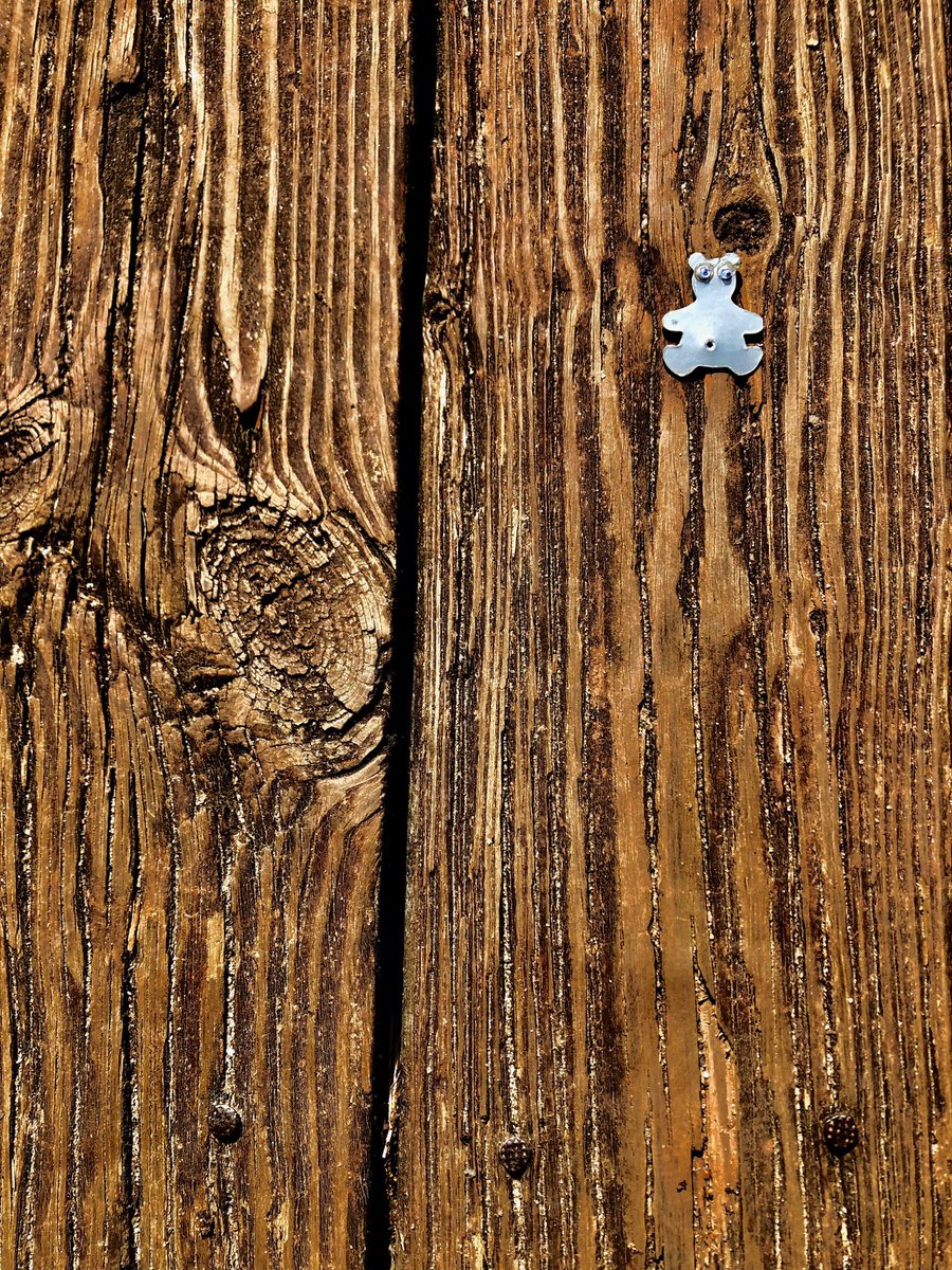 AShoeBearPlanet's tweet photo. Shoe Bear®️enjoys afternoon sun on pine boat deck. Sibley Pond. Marietta, Georgia. Wesley. #♻️ #Recycle #Reuse #GoGreen #GreenLiving #RecyclePlastic #ShoeBears #GooglyEyes #Grain #WoodGrain #Wooden #AgainstTheGrain #Fence #Plank #Treated #BoatDeck #Pine https://t.co/F8AkNuaugW