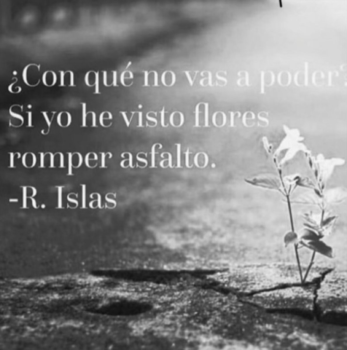 Rocío Barriga tweet media