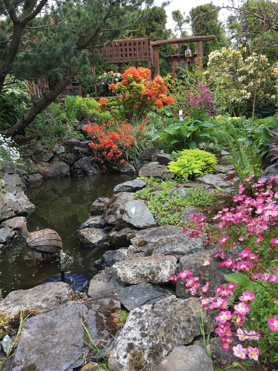 wtmferris's tweet photo. Hosta &amp; friends on Prior st https://t.co/zOlQWAe49f
