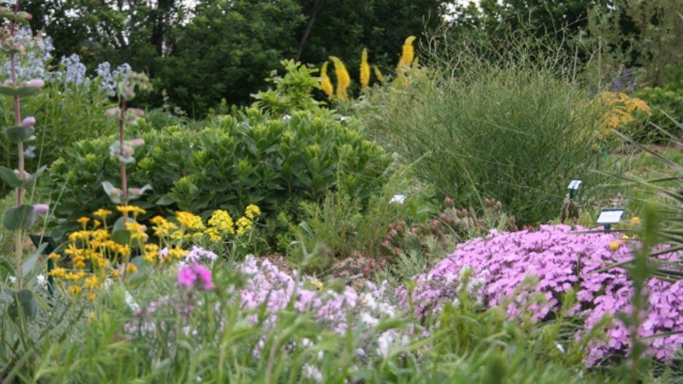 Institute of Agriculture and Natural Resources (@unl_ianr) on Twitter photo Fascination of Plants Day is Saturday, May 18 at the Maxwell Arboretum. Check out the schedule of free, family-friendly activities! >> ow.ly/M11P30oICwO #UNL #LNK <a href="/unlagrohort/">Nebraska Agronomy and Horticulture</a> Fascination of Plants Day is Saturday, May 18 at the Maxwell Arboretum. Check out the schedule of free, family-friendly activities! >> ow.ly/M11P30oICwO #UNL #LNK <a href="/unlagrohort/">Nebraska Agronomy and Horticulture</a>
