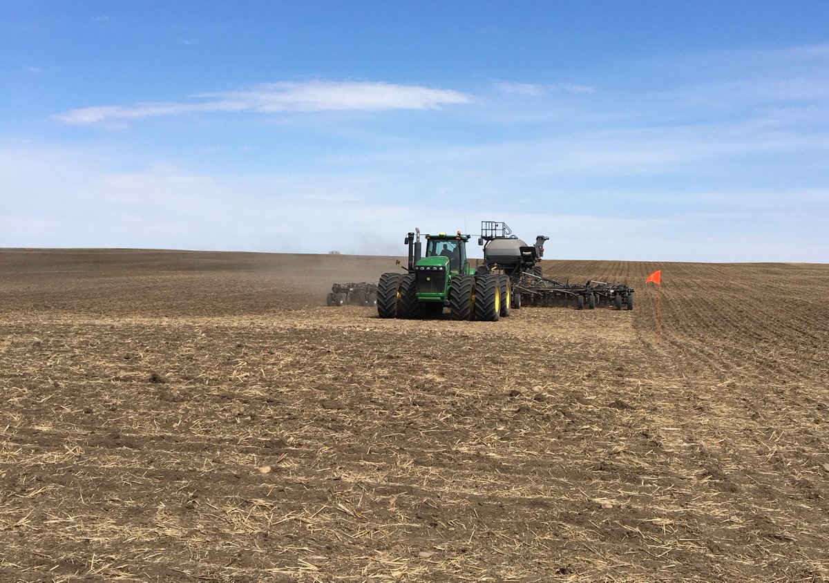 ProvenSeed's tweet photo. Finishing off a #canola trial in Crossfield, AB today! There are over 200 #ProvenPerformanceTrials planned across western Canada, look for one in your area! #WestCdnAg (📷: Norm Flore) https://t.co/4z5GQk43BB