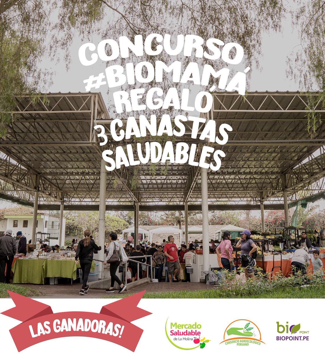 BioPoint_pe's tweet image. Les presentamos a nuestras biomamás Gracias a los productores por apostar en esta iniciativa y a todos por estar ahí, seguirnos y compartir alimentación saludable! 😀🌱🌞
.
.
#concurso #biomamá #participaygana #ganadoras #diadelamadre #canastassaludables