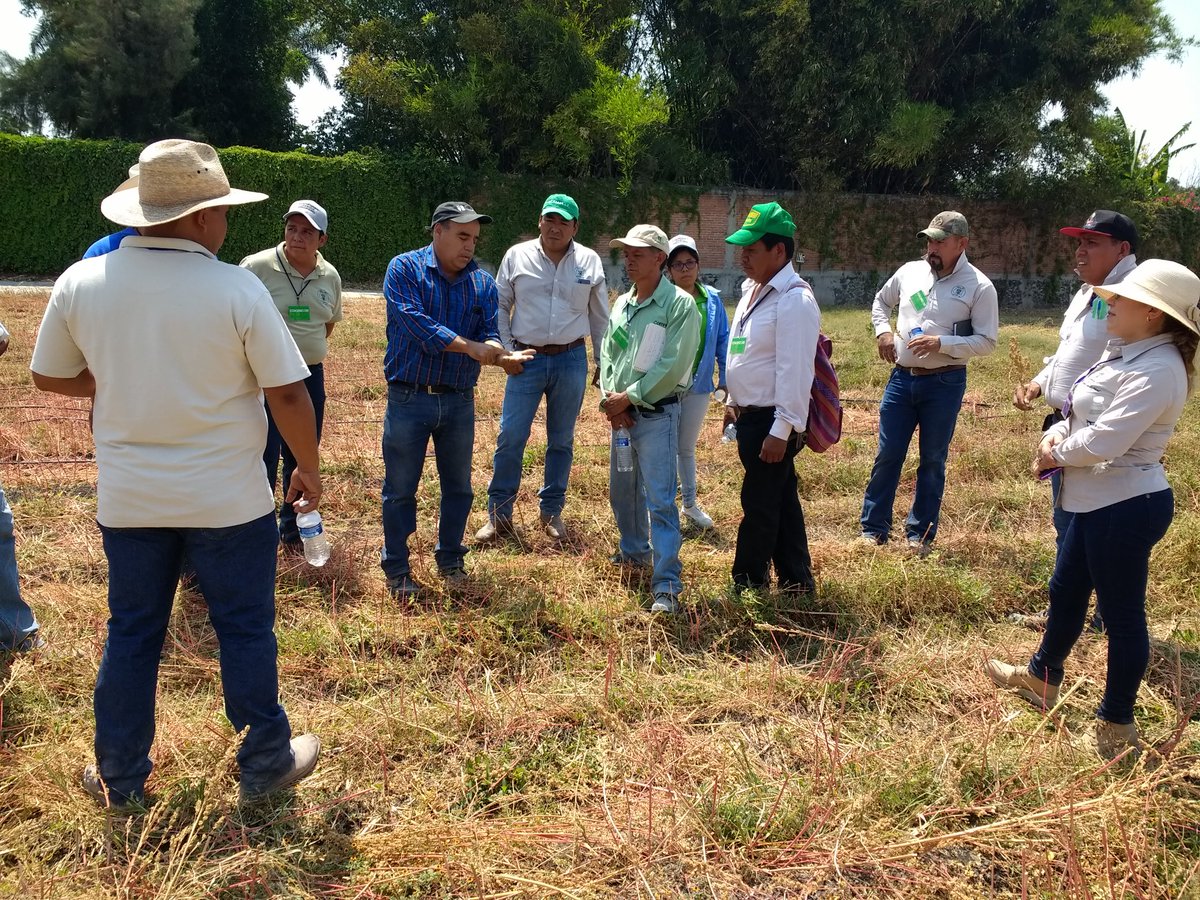 AnaCIMMYT's tweet photo. A través colaboraciones #MasAgro; docentes del CBTA #129 de Axochiapan, Mor., visitaron la plataforma experimental de #CIMMYT Tlaltizapan, Mor., con el objetivo de conocer las prácticas de Agricultura de Conservación. #AlianzasSustentables #HubPCTO #CIMMYTporMexico @vmva1950 https://t.co/mQbNajtv6k