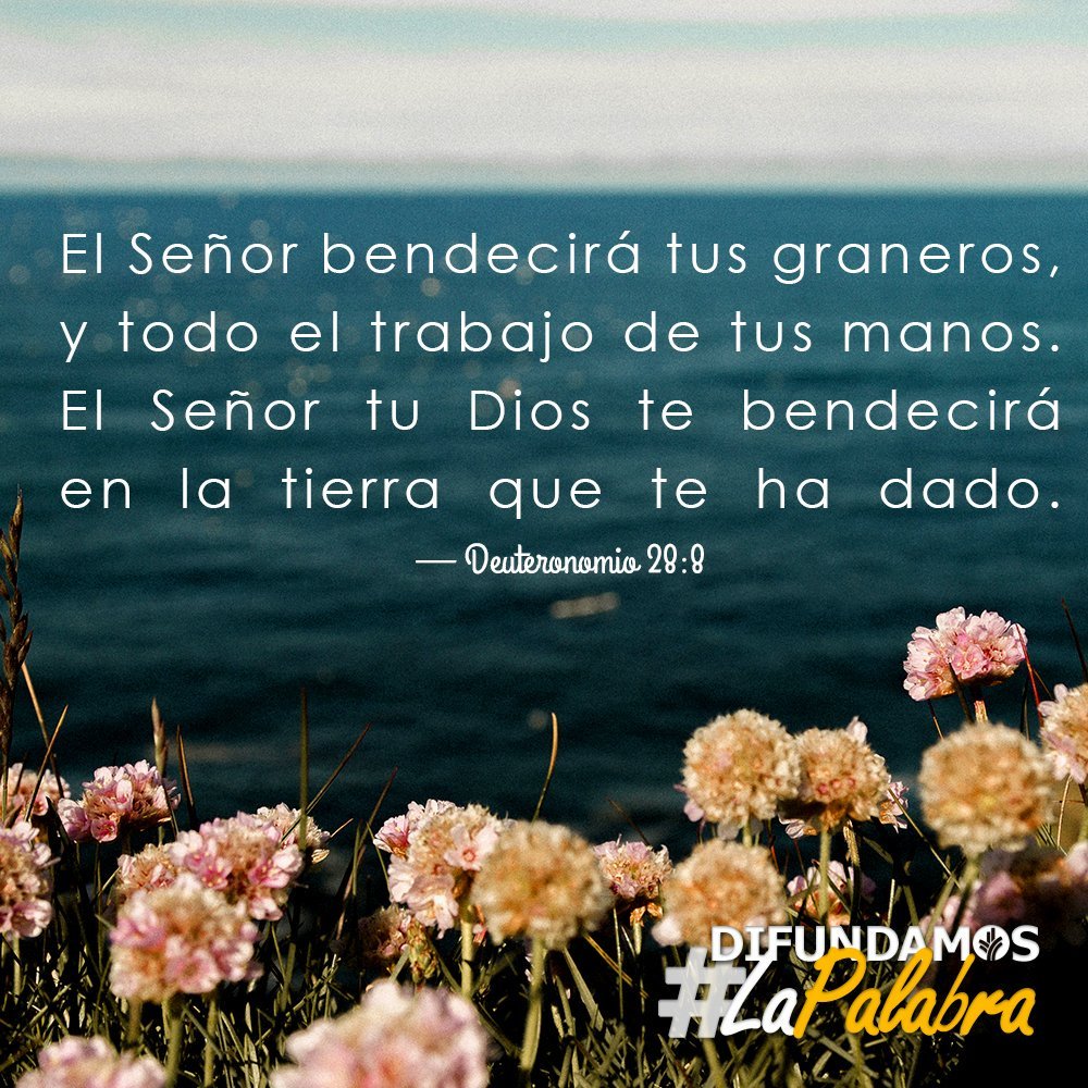 Loren Castillo En Twitter Dios Bendiga Nuestro Trabajo Y Nos Provea De Todo Lo Que Necesitamos Deuteronomio 28 8 El Señor Bendecirá Tus Graneros Y Todo El Trabajo De Tus Manos Https T Co Hg6q8lzinc