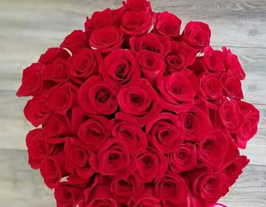 cheryllyndunn's tweet photo. @Espiritu_Muerto @BeansTeddyBear https://t.co/wZGGiXHFPb
