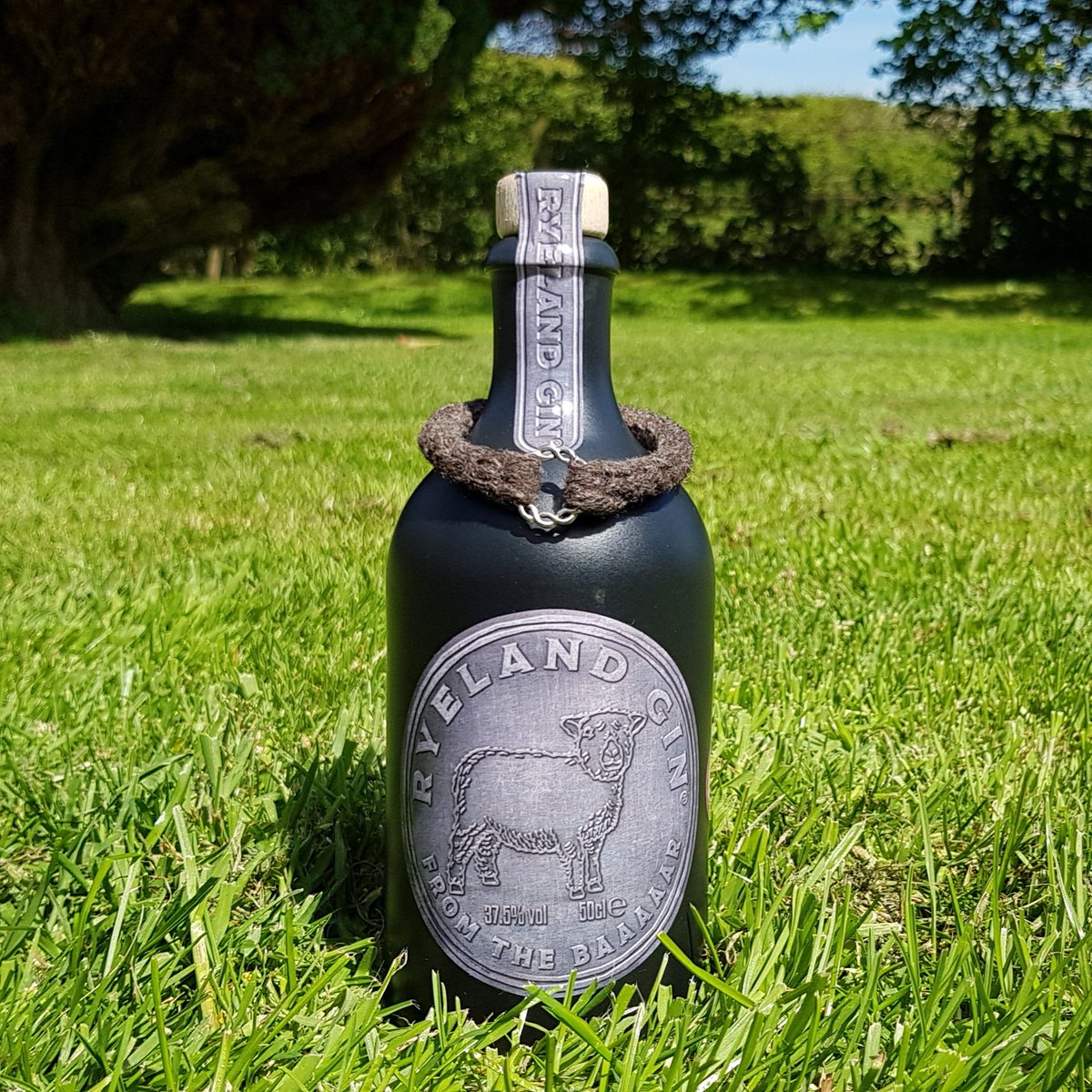 Ryeland Gin meets <a href="/EwelleryShop/">EwelleryJewellery</a> Our Ryeland Gin crafted in #Northumberland arrived safely to #Devon today.  We'll be giving away a free Ewellery Celtic Ring Bracelet with the first 25 bottles sold at our launch at <a href="/devoncountyshow/">Devon County Show</a> on May 16th  on Ave A in <a href="/ShopForSomeUK/">ShopForSomethingDiff</a> marquee