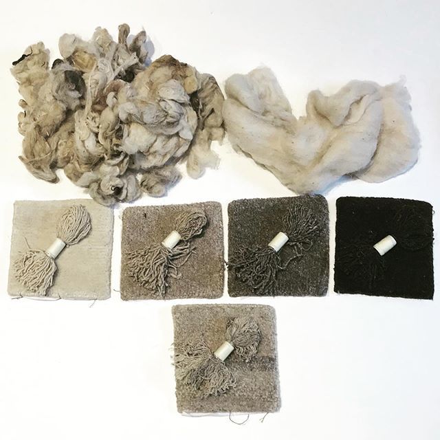 weaverandloom's tweet photo. Raw Tibetan wool - undyed! 
Newly added to our bespoke system.
.⠀
.⠀
.⠀
.⠀
#interiors #interiordesign #bespoke #handmaderugs #handmade #handknotted #handknottedrugs #neutrals #customrugs #workwithadesigner #rugs #carpets #carpetlove #customcarpets #d… https://t.co/GFMDAulpFW https://t.co/cWwb7YtMS4