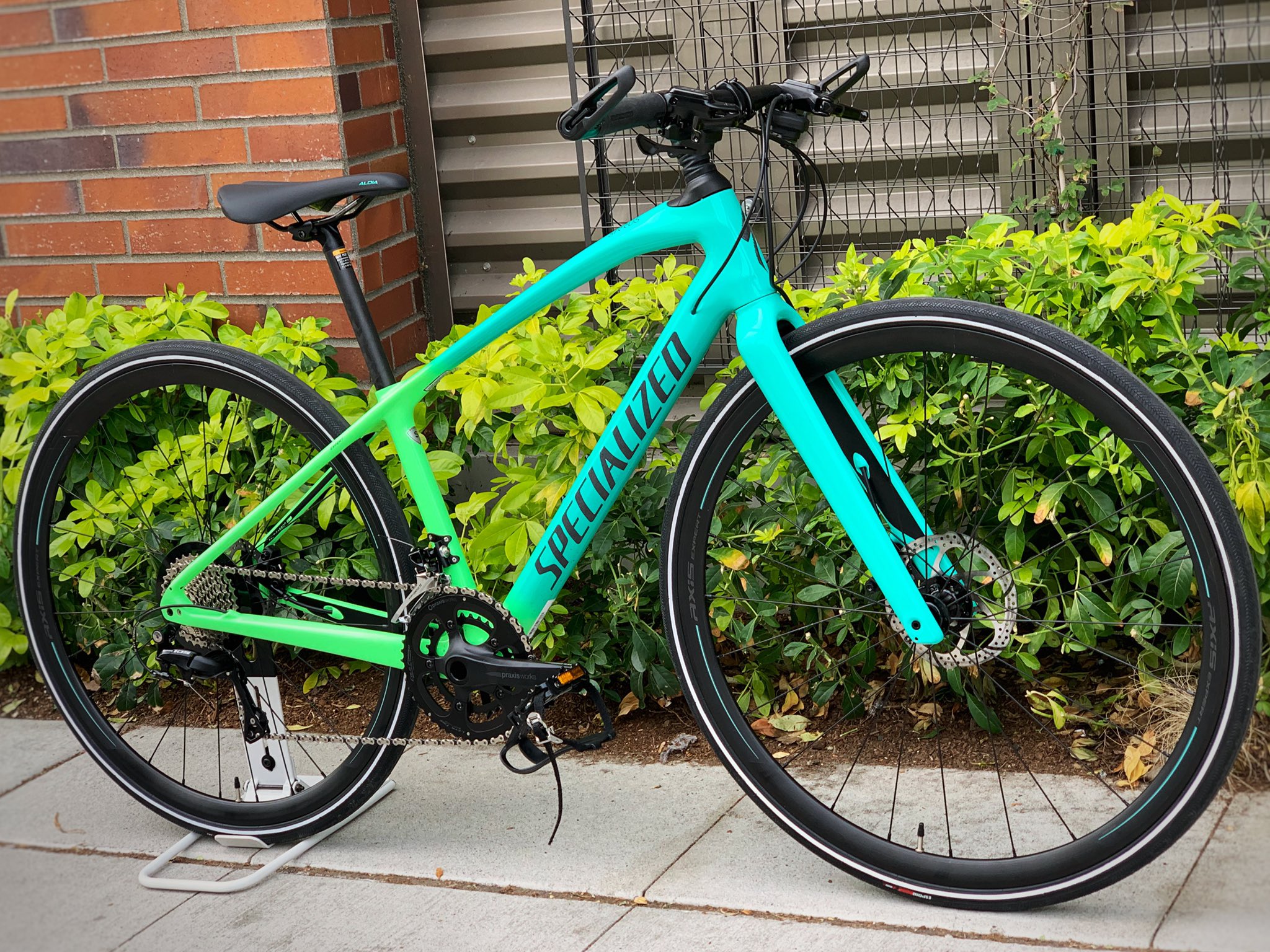 Women's sirrus elite carbon 2025