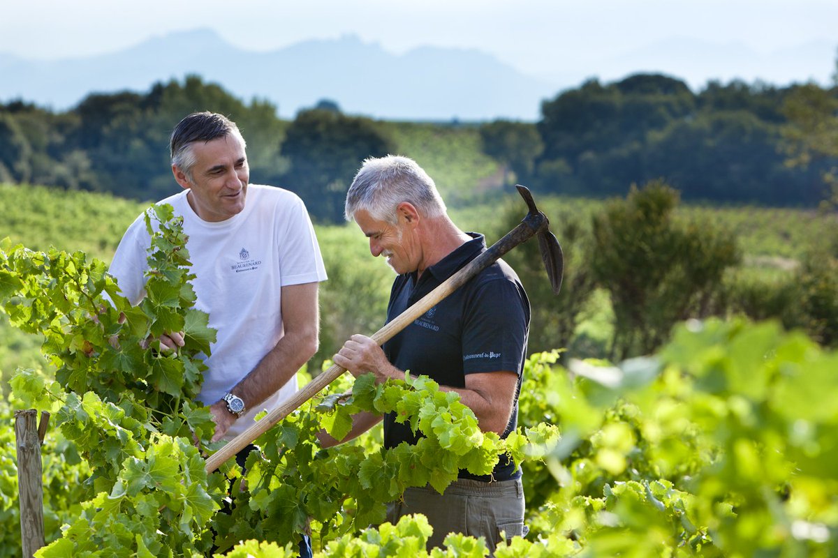 Maison Vauron tweet media