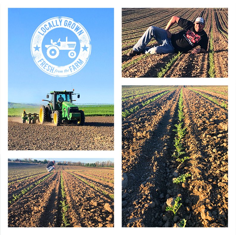 Fresh Nature Foods tweet media