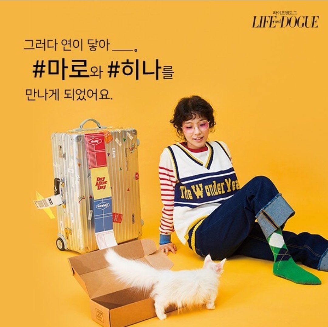 junielishm's tweet photo. With Maro and Hinaa. Check it out on 'Life and Dogue' and follow their Instagram lifeanddogue_! Find out more of the pet lifestyle! 😊 https://t.co/UhU9Mw0V62