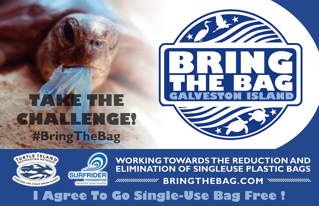 Take the #BringTheBag 30 Day No Single-Use
                                                       Plastic Bag Challenge!
bringthebag.org