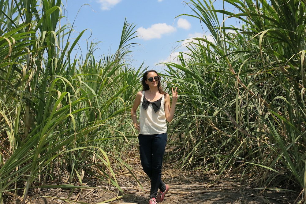 Le grincement de dents de @catlefebvre : pour l’amour du vrai goût! - par <a href="/JulieAubeDtP/">Julie Aubé</a>
bit.ly/2VnJWsH #Sucre