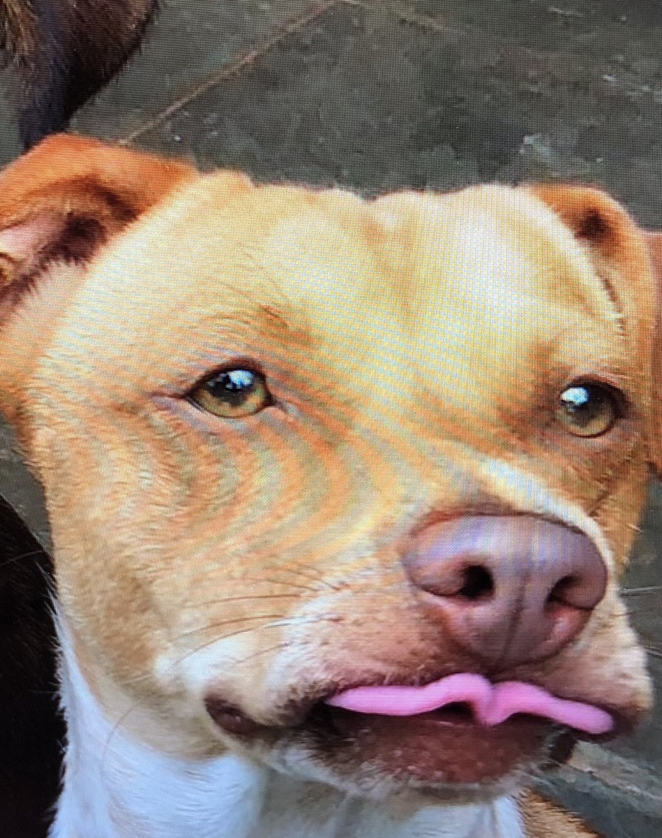 MONICAPEDRO's tweet photo. @ANAMARIABRAGA Minha cara se eu ganhasse meio milhão agora #acordamenina https://t.co/AAvveVwzgl