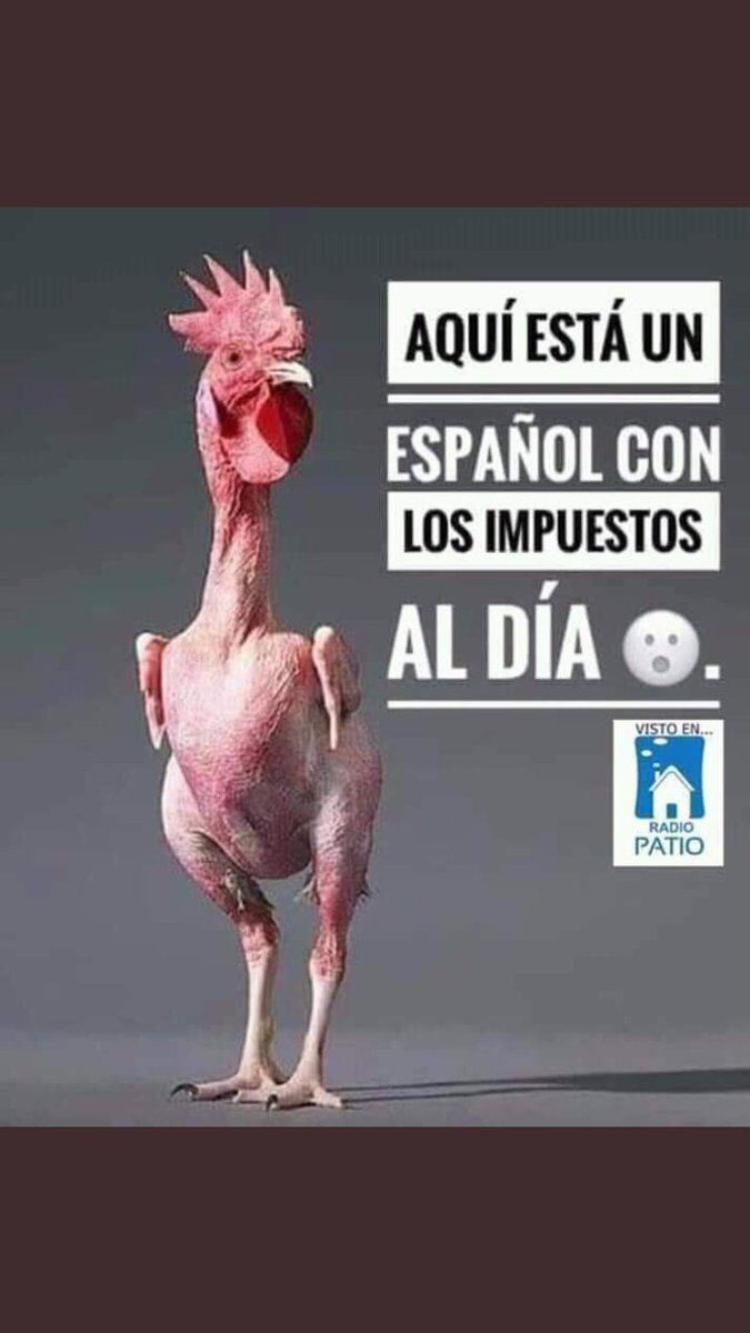 Arbitropolitico's tweet photo. Más pelados que CocoLiso https://t.co/y4vuLkr3yA