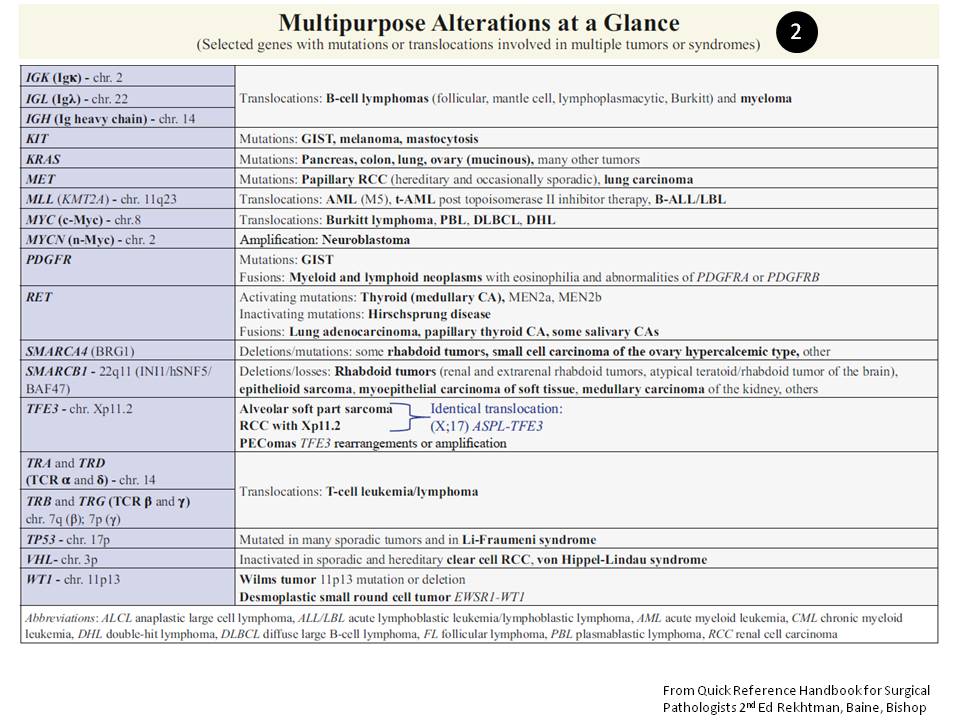 natasharekhtman's tweet photo. Are u a pathology resident in the final throes of studying for the boards? Help is here! Here are a few crammable molecular summaries - excerpts from the new #QRHSP (thanks to my brilliant colleague Jason Chang for co-creating these) #pathology #pathboards @Path_Matt @ALBoothMD https://t.co/4JP3cYii9K