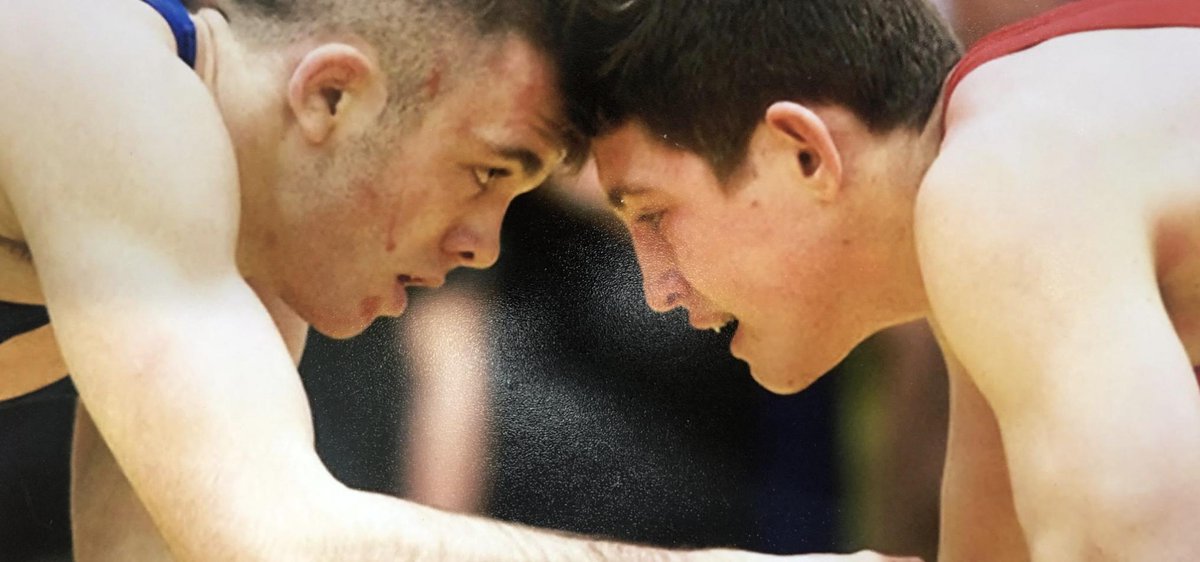 Standard Scaffold tweet media