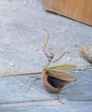 이거 라이관린 (@this_is_kuanlin) on Twitter photo 