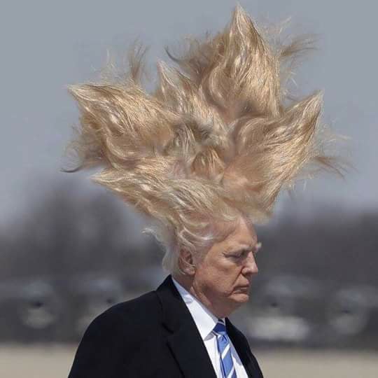 ElyBahiana@aol.com tweet media