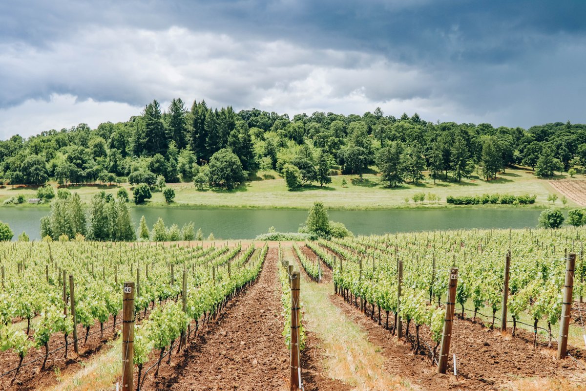 Celebrate Memorial Day Weekend in Oregon Wine Country sipping newly released white wines, rosés, and Pinot noir from the acclaimed 2017 vintage. 🍷 bit.ly/2HULfNy