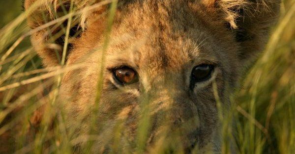 OptimistanUsa's tweet photo. Raising your hand when you get something wrong is never easy. But as this article explains, taking responsibility for our actions can actually be one of the most empowering things we can do. Discover how owning your actions can help you succeed. https://t.co/6iqBXpshfC https://t.co/aRRLJLgXYz