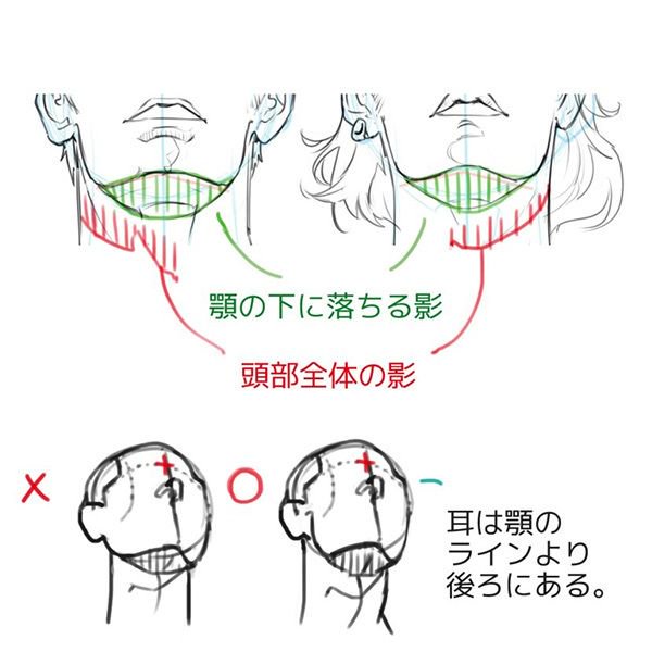 いちあっぷ By Mugenup クリエイティブ制作会社 アオリやフカン 難しい構図の描き方のコツを学んでイラストに活かそう 構造から理解しよう あおりと俯瞰 フカン のついた顔の描き方 いちあっぷ T Co U1v1jnmspu 絵が上手くなる記事はコレ