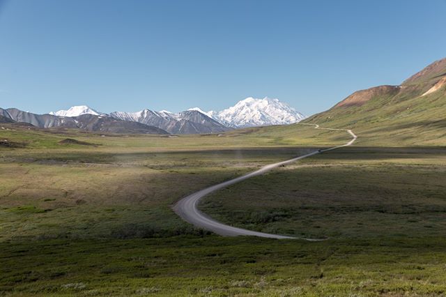 flightlesskiwis's tweet photo. https://t.co/iQNbDvNxdx The road leading in to Denali National Park (and the mountain it's named after)⠀
⠀
This one is actually a photo looking back to the park as we were leaving, we'd arrived in the rain and cloud with no views whatsoever, so we were pretty stoked when th… https://t.co/nSFftVjDHp