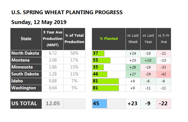 Tim Phelps tweet media