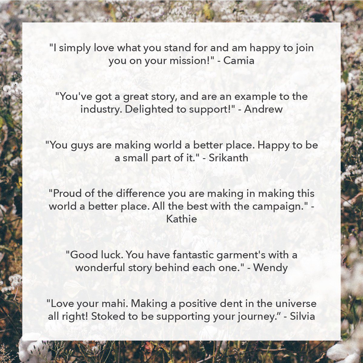 Little Yellow Bird tweet media