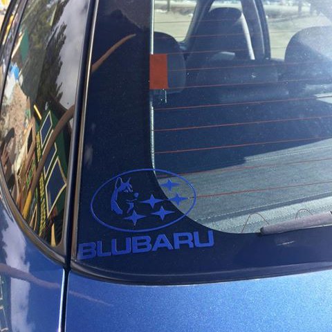 SubaruCanada's tweet photo. When you’re impawsibly cute as Blu (and crew) in your “Blubaru”, going on an adventure is more fun! Kaylee Ryan goes on adventures with her rescue dogs to see the world. She even got a custom "Blubaru sticker" made to show her Subie love! #SubieDogs https://t.co/2s082fGgiX