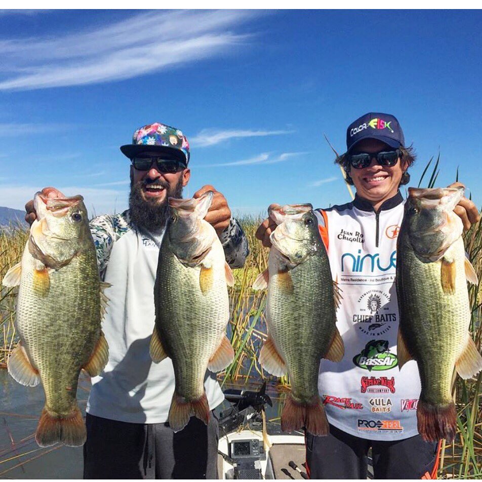 Viciousfishing's tweet photo. Our buddies across the border are catching absolute giants! #fishing #bassfishing #largemouthbass #bigbass #mexicofishing #getvicous #viciousstrong https://t.co/8nBl6lDmuH
