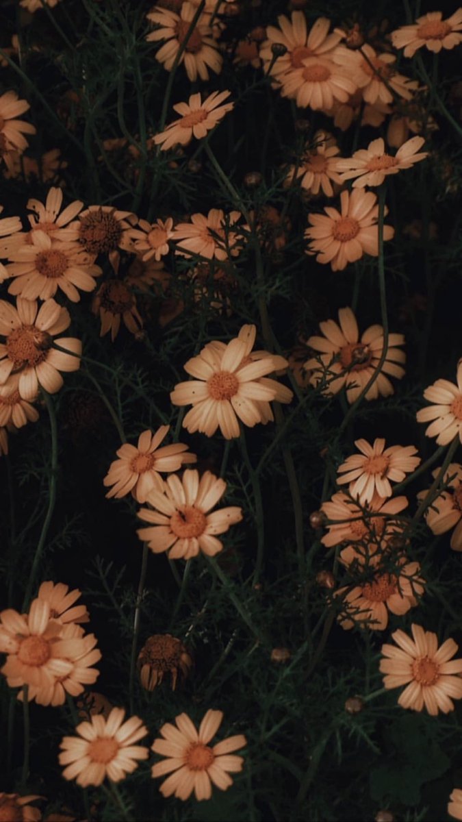 boşa sevmişliğin, boşa güvenmişliğin yarası hiç kapanmıyor.