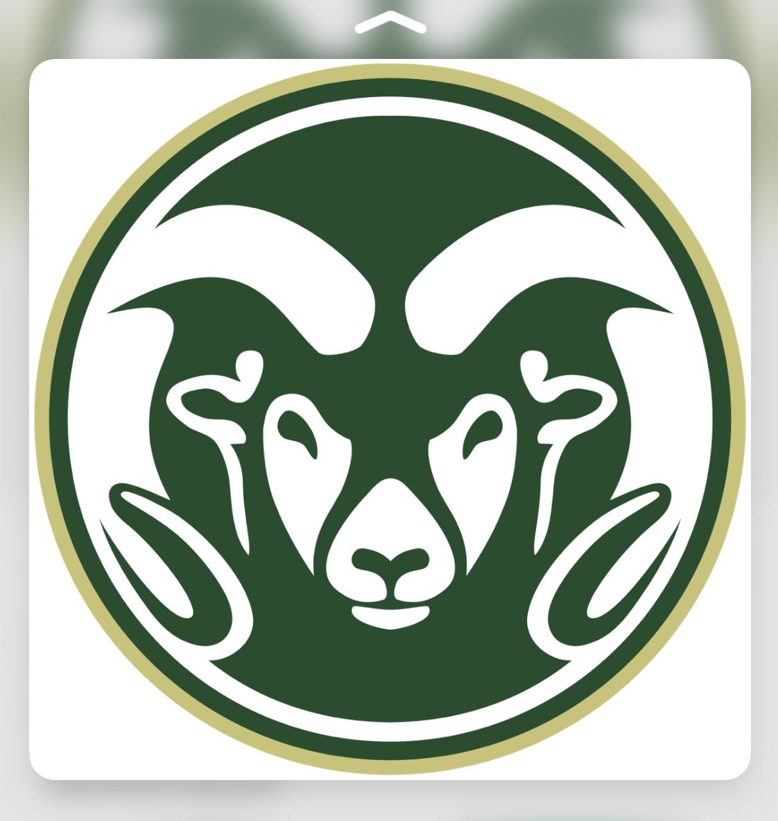 hayden_333's tweet photo. Beyond blessed to say I’ve received my first offer❗️💚 #coloradostate #gorams https://t.co/PykoFXmGfj