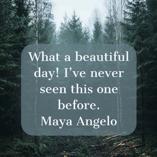 smDeWittHall's tweet photo. Find the beauty in today.
#ExperienceToday #quoteoftheday https://t.co/ipt36IxIsX