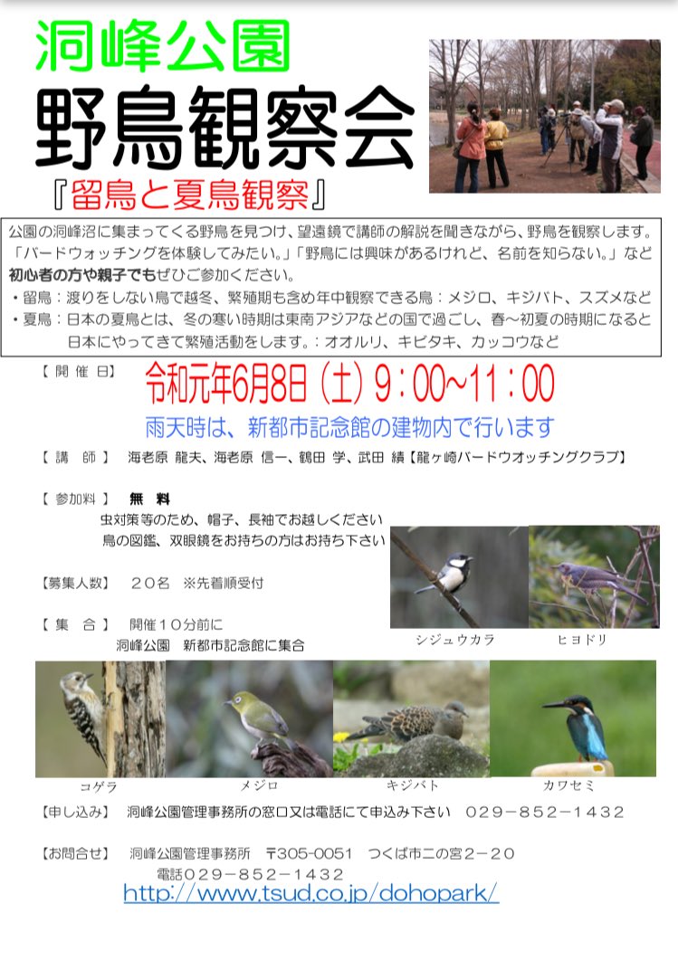 いばらきの公園 洞峰公園 つくば市 令和元年6月8日 土 9 00 11 00 野鳥観察会 が開催されます 洞峰沼 に集まってくる 野鳥 を見つけ 望遠鏡で講師の解説を聞きながら野鳥を観察します ご参加をお待ちしています T Co Zyyf1rqkv0