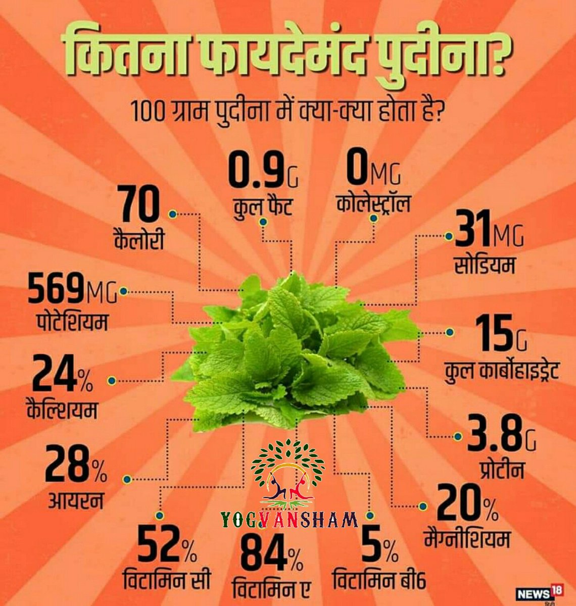 Ghanshy4890786's tweet photo. #mint #mintleaves #benefitmint leaves  #protein #calcium #sodium #vitamin #minerals #health #natural #yoga #morningdiet #morningyoga #yogvanshamteam #yogvansham😊🙏 https://t.co/9iieX3Kpjl