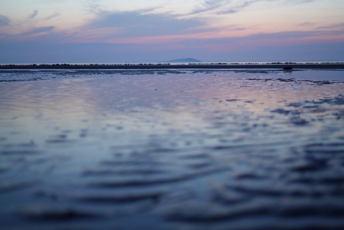 yousakana's tweet photo. 父母ヶ浜(ちちぶがはま)ではない瀬戸内の遠浅の砂浜を歩いている。誰もいない。遠くで潮干狩りをしている子どもたちの声が響いている。
#瀬戸内 #瀬戸内海 #四国 #setouchi #setouchitrip #setouchifood #setouchiisland #setoinlandsea #japan https://t.co/IqJrsEBPLn