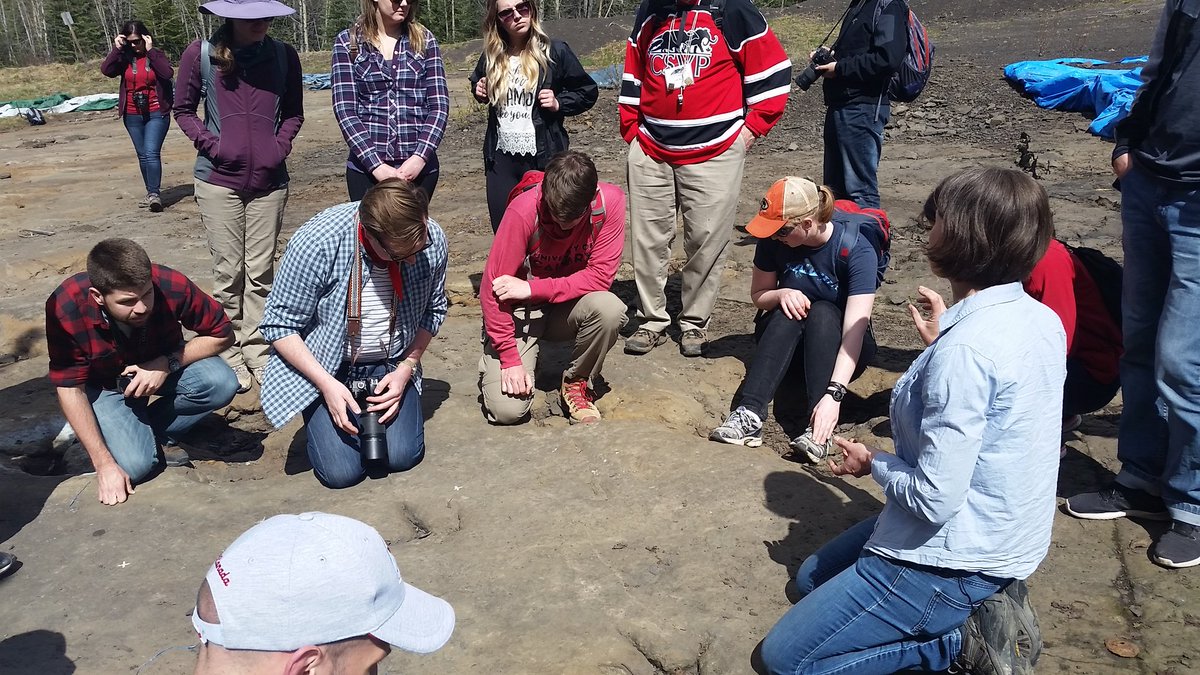VictoriaArbour's tweet photo. Alberta might have the bones, but BC is the place to be for Canadian dinosaur footprints. Here's just a few highlights from today's #CSVP2019 field trip to the Six Peaks dinosaur tracksite. Fabulous fossils. #BCfossils https://t.co/Ijt1jiluib