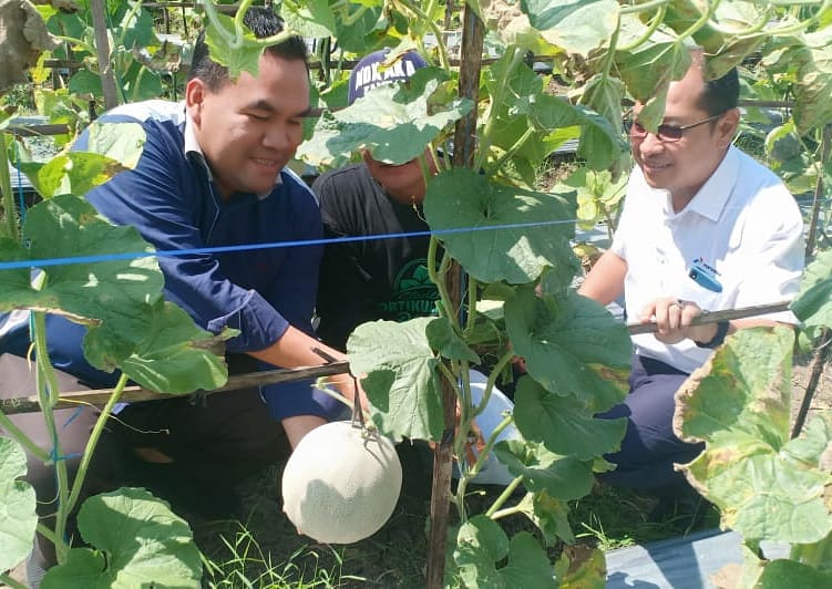 AriefRohman_838's tweet photo. Komoditas Hortikultura terus kita kembangkan di Kabupaten Blora
Pandangan bahwa Blora kering dan hanya menghasilkan jati saja kini semakin pudar dengan banyaknya komoditas buah yang tumbuh di Bumi Samin ini.

#AriefRohman #Blora @KoncoTani_Blora @nunikreni https://t.co/J35oQ2K2oz