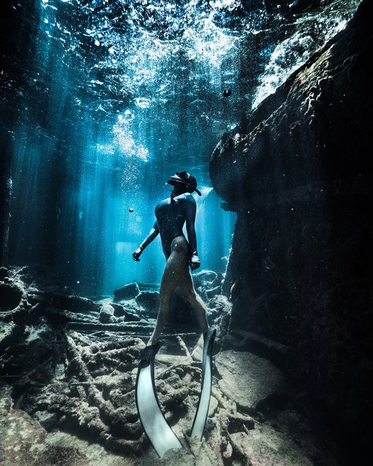 ⁣Exploring Shipwrecks. #shipwrecks #sealife #staysalty #underwaterphotography #madeofocean #freedive<a href="/tag/shipwrecks"class="tags">#shipwrecks</a><a href="/tag/sealife"class="tags">#sealife</a><a href="/tag/staysalty"class="tags">#staysalty</a><a href="/tag/bahamas"class="tags"><span>#bahamas</span></a><a href="/tag/bimini"class="tags"><span>#bimini</span></a><a href="/tag/caribbeansea"class="tags"><span>#caribbeansea</span></a><a href="/tag/freedive"class="tags"><span>#freedive</span></a><a href="/tag/underwaterphotography"class="tags"><span>#underwaterphotography</span></a>